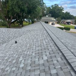 shingle company Tampa