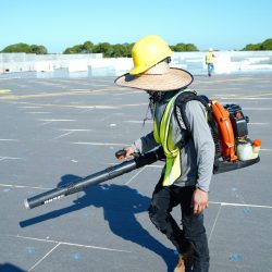 tampa roof cleaning
